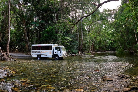 3 Day Cape Tribulation & Cooktown Tour From Cairns Or Port Douglas - Tweed Heads Accommodation 3