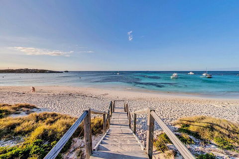 Discover Rottnest With Ferry & Bus Tour From Perth Or Fremantle - Tweed Heads Accommodation 4