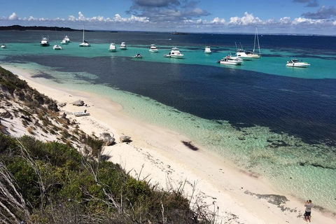Experience Rottnest With Ferry & Bike Hire From Perth Or Fremantle - Tweed Heads Accommodation 0