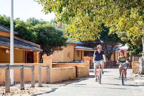 Experience Rottnest With Ferry & Bike Hire From Perth Or Fremantle - Tweed Heads Accommodation 1