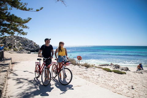 Experience Rottnest With Ferry & Bike Hire From Perth Or Fremantle - Tweed Heads Accommodation 4