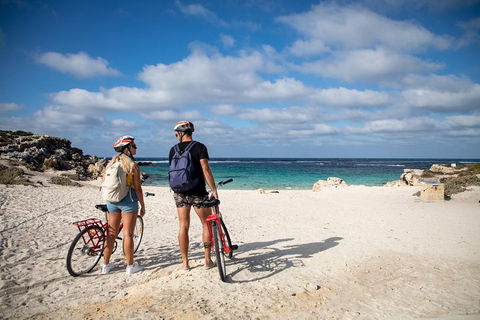 Experience Rottnest With Ferry & Bike Hire From Perth Or Fremantle - Tweed Heads Accommodation 5