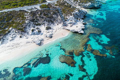 Rottnest Island Round-Trip Ferry From Perth Or Fremantle - Tweed Heads Accommodation 0