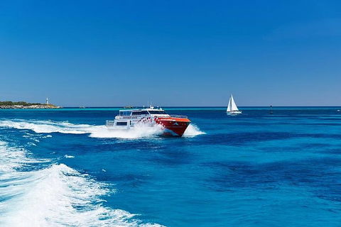 Rottnest Island Round-Trip Ferry From Perth Or Fremantle - Tweed Heads Accommodation 4