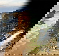 Melbourne Super Saver Great Ocean Road  Phillip Island  Attraction Pass - Tweed Heads Accommodation