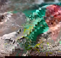 Small-Group Phillip Island Penguin Parade Day Tour from Melbourne - Tweed Heads Accommodation