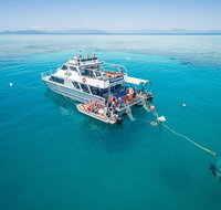 Ocean Freedom Great Barrier Reef Personal Luxury Snorkel  Dive Cruise Cairns - Tweed Heads Accommodation