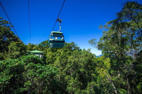 Classic Kuranda By Skyrail And Scenic Railway Including Rainforestation, Koala And Wildlife Park And Pamagirri Aboriginal Experi - Tweed Heads Accommodation 0