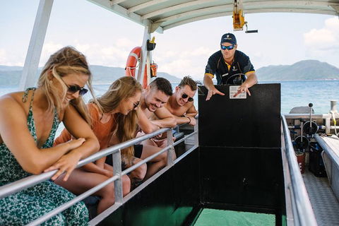 Fitzroy Island Day Trip From Cairns - Tweed Heads Accommodation 4