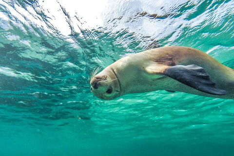 10-Day Adelaide To Perth Adventure Tour - Tweed Heads Accommodation 1