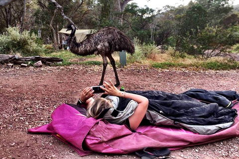 6 Day Esperance & Margaret River Adventure Tour - Tweed Heads Accommodation 5