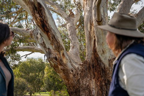 NEW TOUR - Kangaroo Island Road To Recovery Tour (1 Day/1 Night) - Tweed Heads Accommodation 0