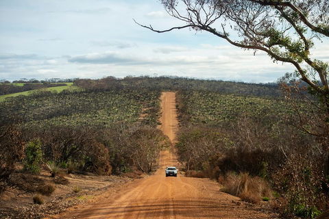 NEW TOUR - Kangaroo Island Road To Recovery Tour (1 Day/1 Night) - Tweed Heads Accommodation 2