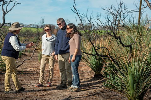 NEW TOUR - Kangaroo Island Road To Recovery Tour (1 Day/1 Night) - Tweed Heads Accommodation 4