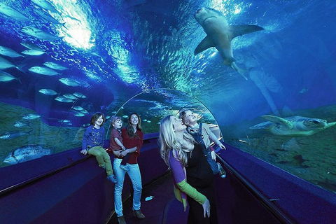 General Admission Entry At AQWA - Tweed Heads Accommodation 1
