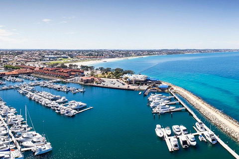 Snorkel With Sharks At AQWA - Tweed Heads Accommodation 3