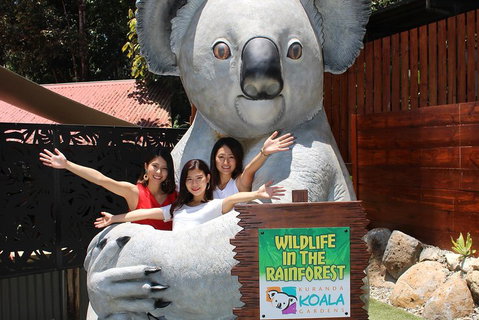 Kuranda Koala Gardens And Birdworld Admission Tickets - Tweed Heads Accommodation 3