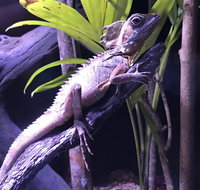 Cairns Aquarium Admission Ticket - Tweed Heads Accommodation