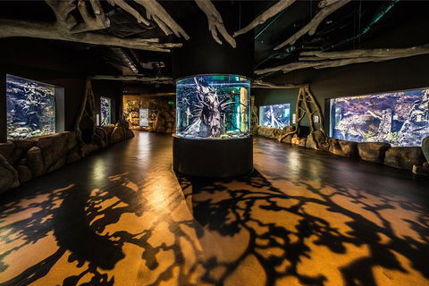 Cairns Aquarium Admission Ticket - Tweed Heads Accommodation 1