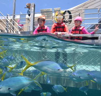 Outer Reef Pontoon Experience from Cairns - Tweed Heads Accommodation