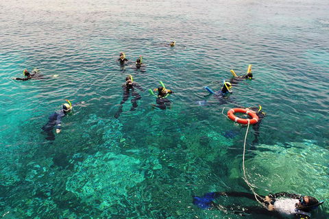 Seastar Luxury Outer Great Barrier Reef Island And Reef Tour From Cairns - Tweed Heads Accommodation 2