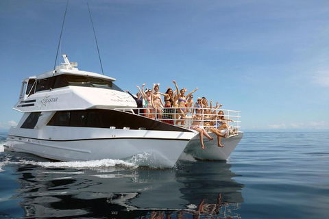 Seastar Luxury Outer Great Barrier Reef Island And Reef Tour From Cairns - Tweed Heads Accommodation 4