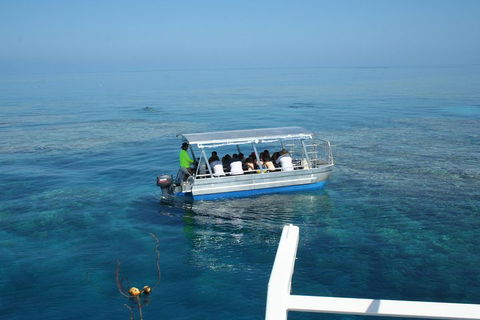 Seastar Luxury Outer Great Barrier Reef Island And Reef Tour From Cairns - Tweed Heads Accommodation 5