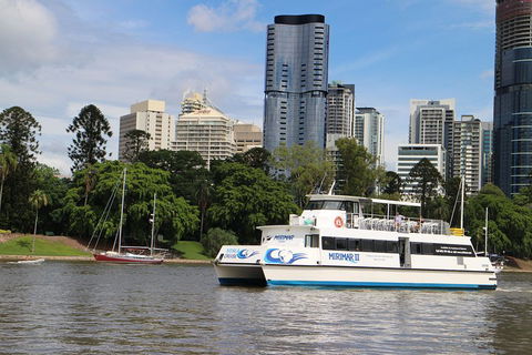 Lone Pine Koala Sanctuary Admission With Brisbane River Cruise - Tweed Heads Accommodation 2