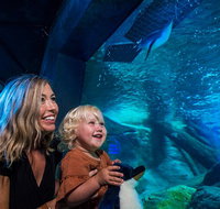 SEA LIFE Sunshine Coast Aquarium Entrance Ticket - Tweed Heads Accommodation