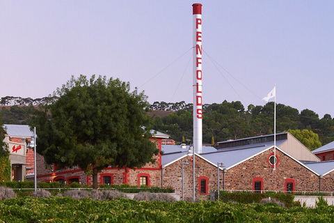 Ultimate Penfolds Magill Estate Experience - Tweed Heads Accommodation 3