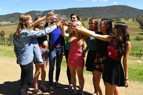 Hunter Valley Wine Tour From Sydney Incl Lunch, Cheese, Chocolate And Distillery - Tweed Heads Accommodation 3