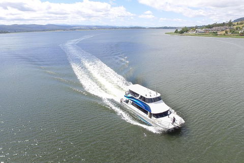 2.5 Hour Morning Discovery Cruise Including Sailing Into The Cataract Gorge - Tweed Heads Accommodation 2