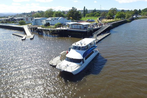2.5 Hour Morning Discovery Cruise Including Sailing Into The Cataract Gorge - Tweed Heads Accommodation 3