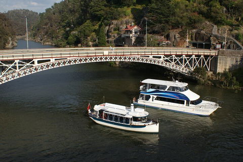 2.5 Hour Morning Discovery Cruise Including Sailing Into The Cataract Gorge - Tweed Heads Accommodation 5