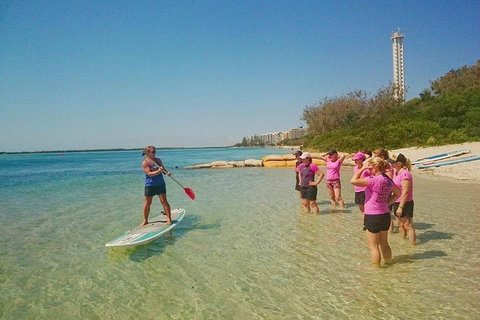 Golden Beach 1-Hour Stand-Up Paddleboard Hire On The Sunshine Coast - Tweed Heads Accommodation 1