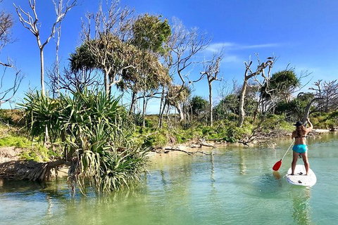 Golden Beach 1-Hour Stand-Up Paddleboard Hire On The Sunshine Coast - Tweed Heads Accommodation 5