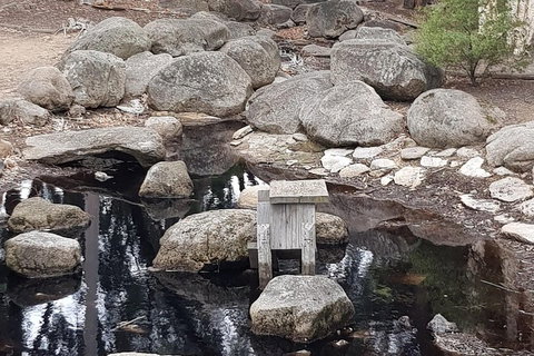 Bendigo, Echuca & The Mighty Murray - Tweed Heads Accommodation 1