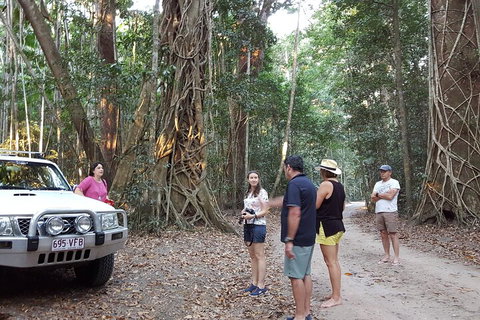 Great Beach Drive 4WD Tour - Private Charter From Noosa To Rainbow Beach - Tweed Heads Accommodation 1