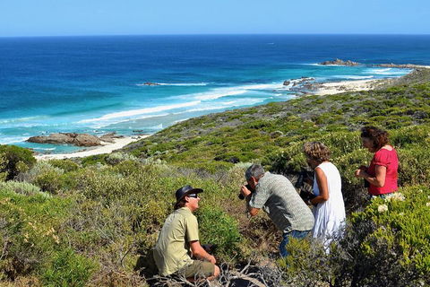 Margaret River Coastal And Wildlife Eco Trip From Busselton Or Dunsborough - Tweed Heads Accommodation 2