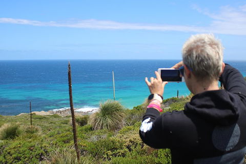 Margaret River Coastal And Wildlife Eco Trip From Busselton Or Dunsborough - Tweed Heads Accommodation 3